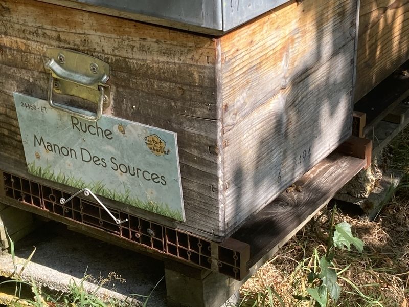 La ruche Manon Des Sources