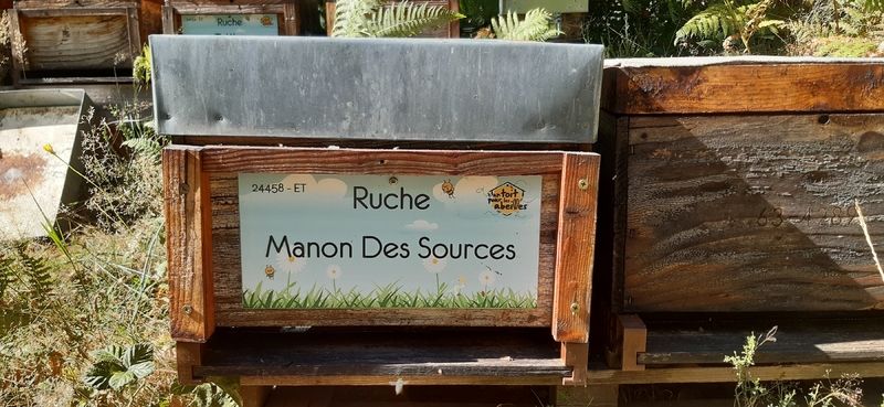 La ruche Manon Des Sources