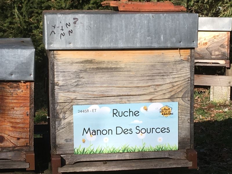 La ruche Manon Des Sources