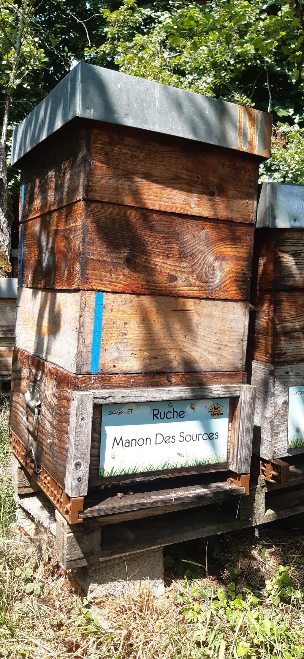 La ruche Manon Des Sources