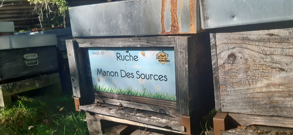 La ruche Manon Des Sources