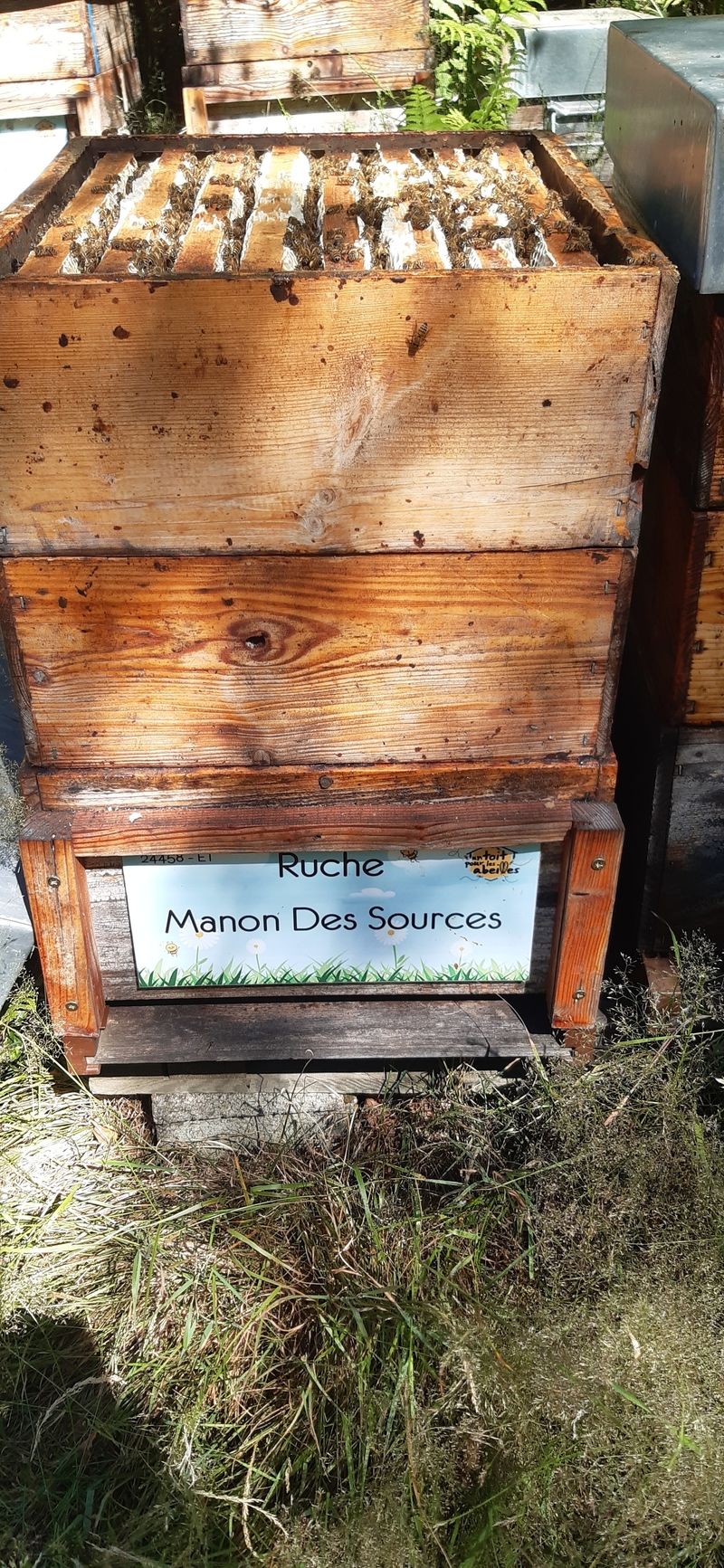 La ruche Manon Des Sources