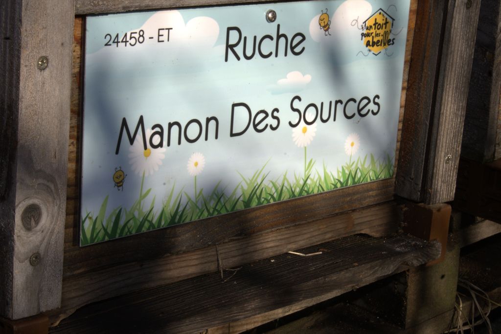 La ruche Manon Des Sources