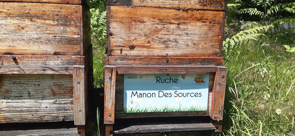 La ruche Manon Des Sources