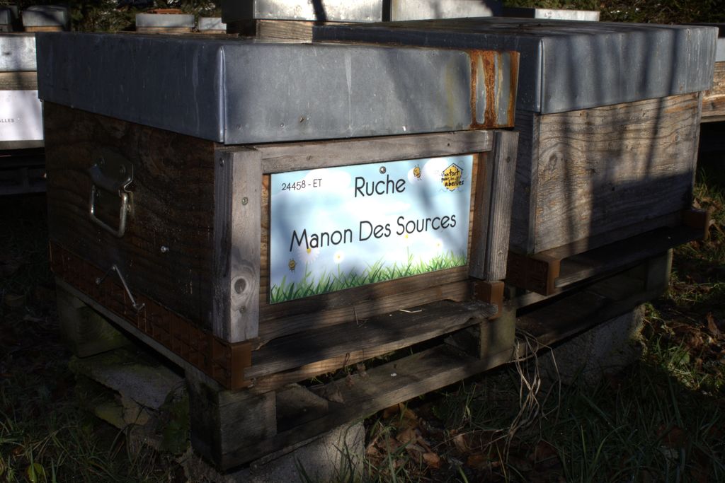 La ruche Manon Des Sources