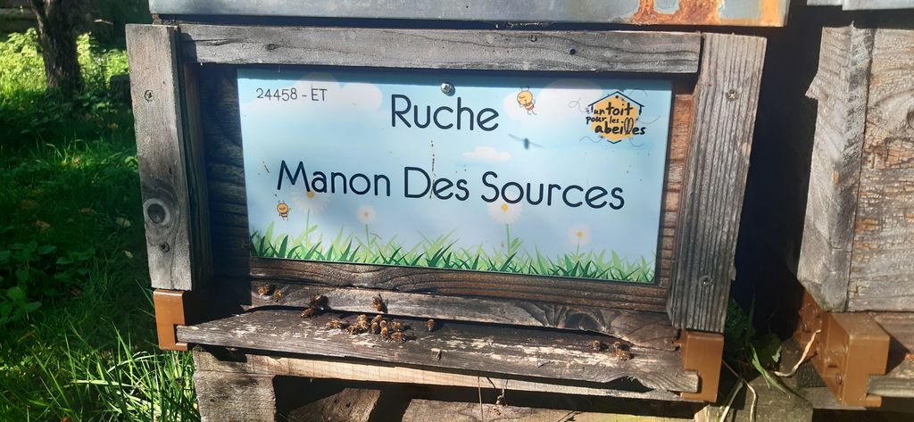 La ruche Manon Des Sources