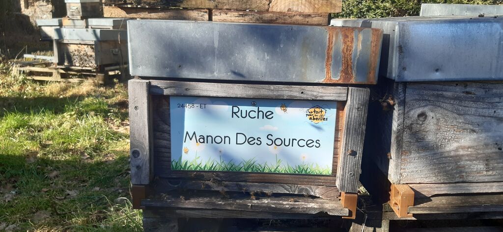 La ruche Manon Des Sources