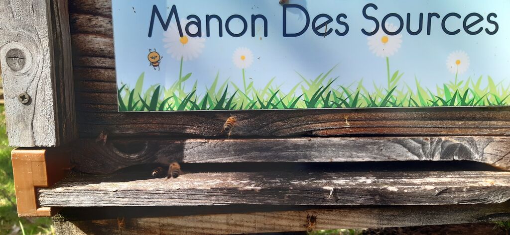 La ruche Manon Des Sources