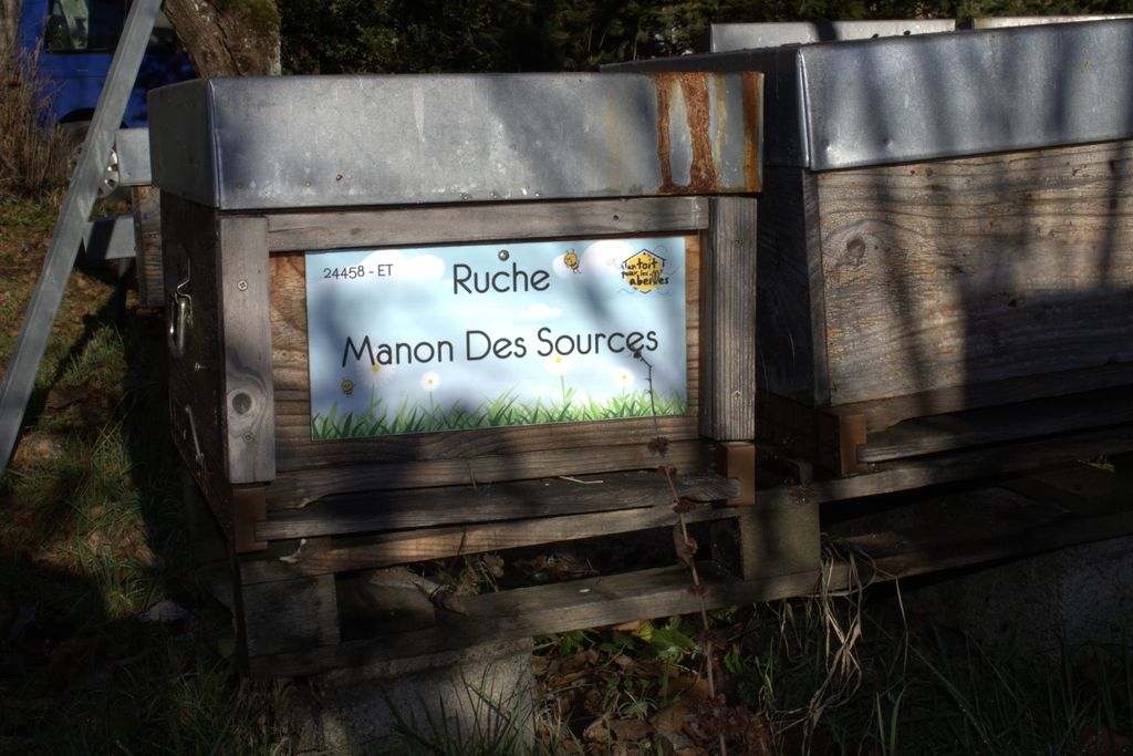 La ruche Manon Des Sources