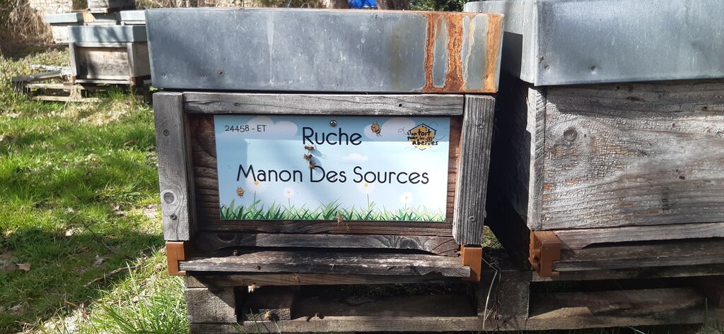 La ruche Manon Des Sources