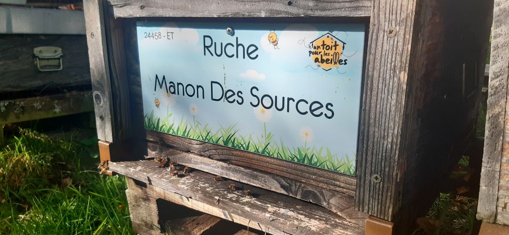 La ruche Manon Des Sources
