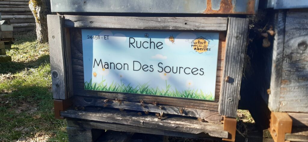 La ruche Manon Des Sources