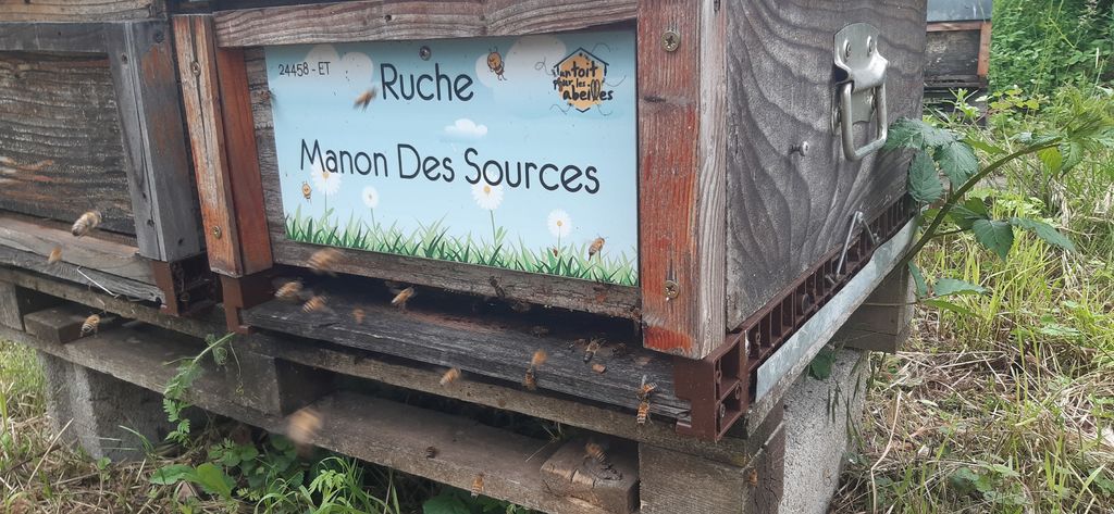 La ruche Manon Des Sources