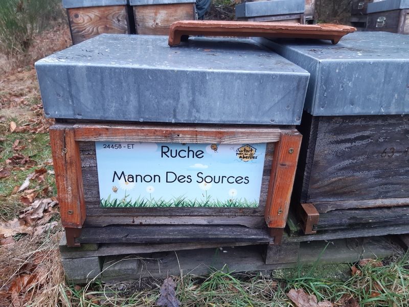 La ruche Manon Des Sources