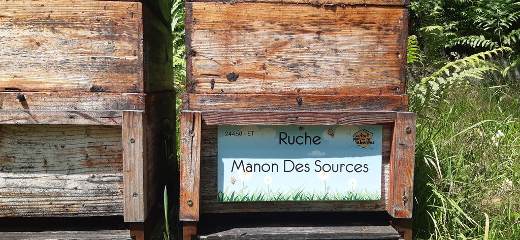 La ruche Manon Des Sources