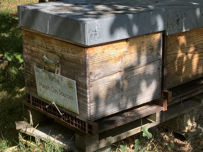 La ruche Manon Des Sources