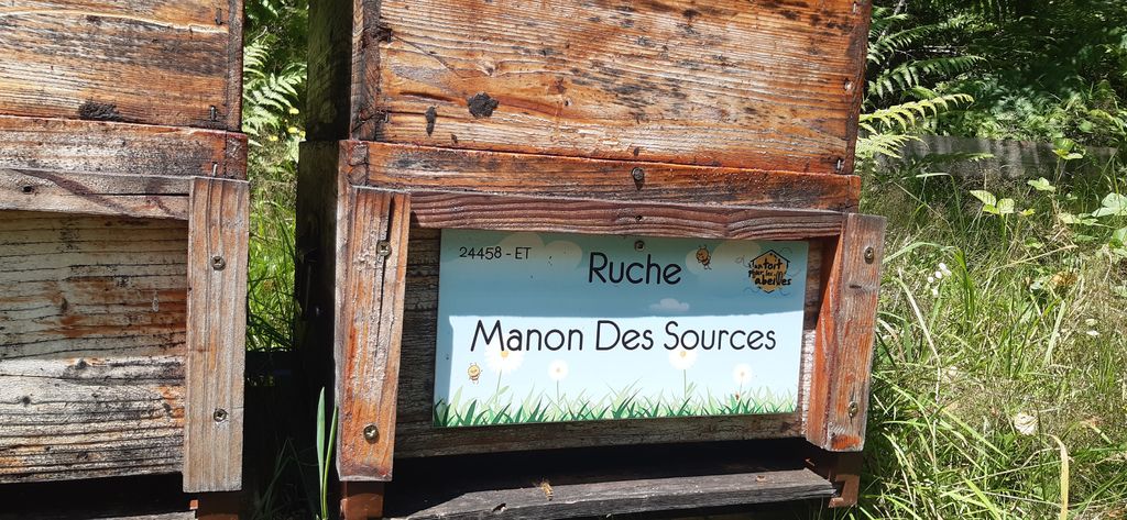 La ruche Manon Des Sources
