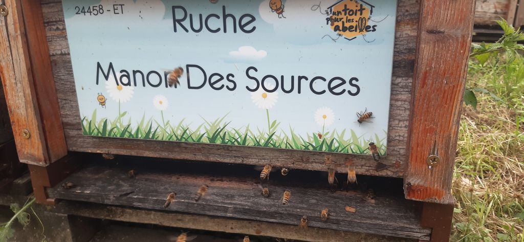La ruche Manon Des Sources