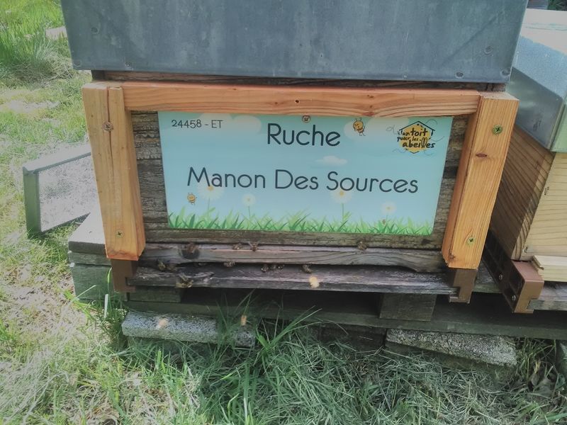La ruche Manon Des Sources