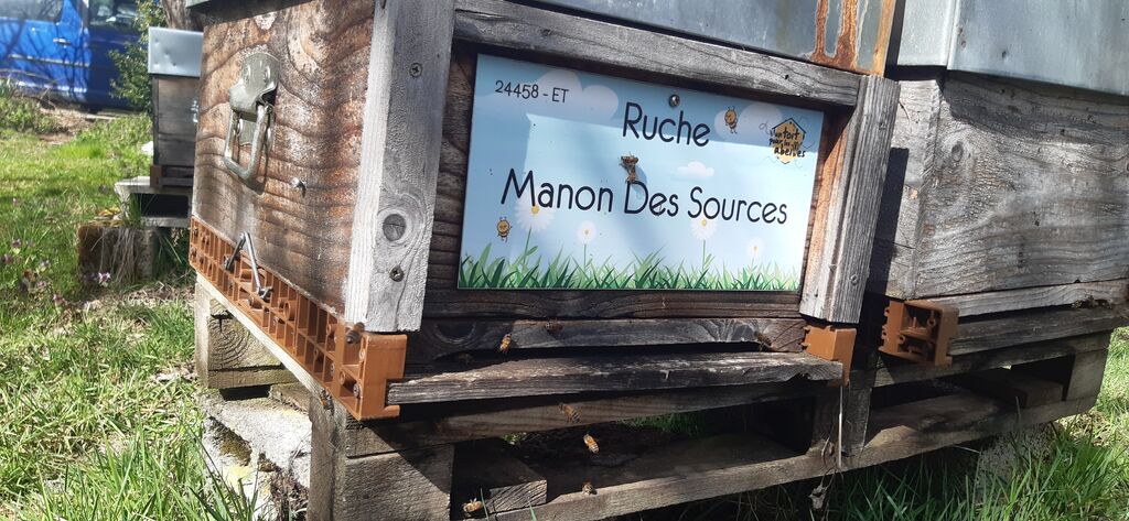 La ruche Manon Des Sources