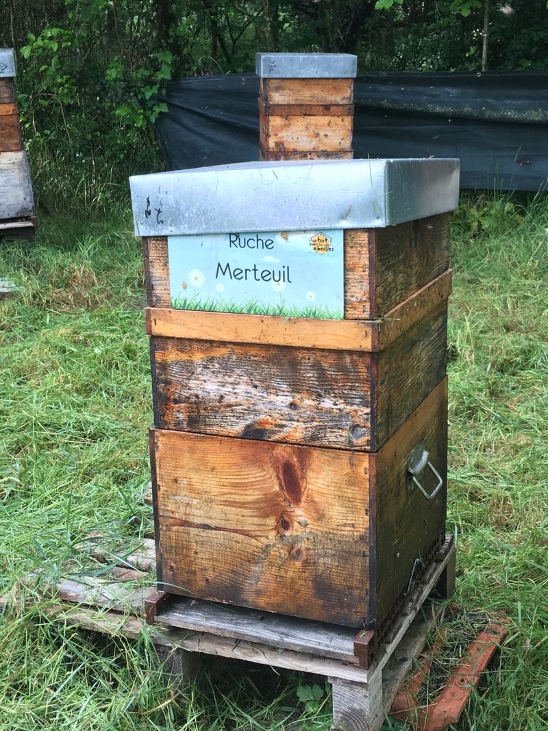 La ruche Merteuil