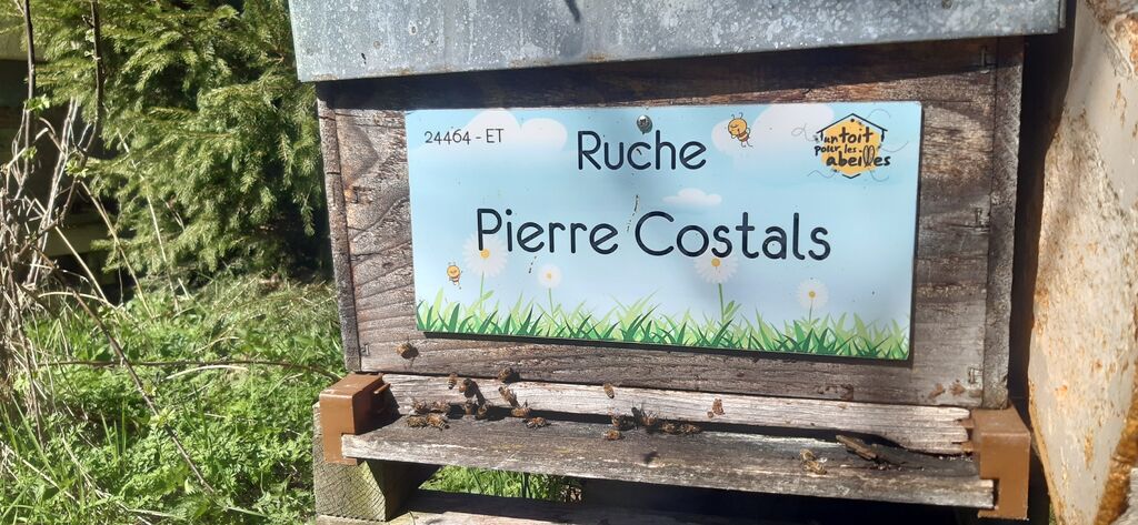 La ruche Pierre Costals