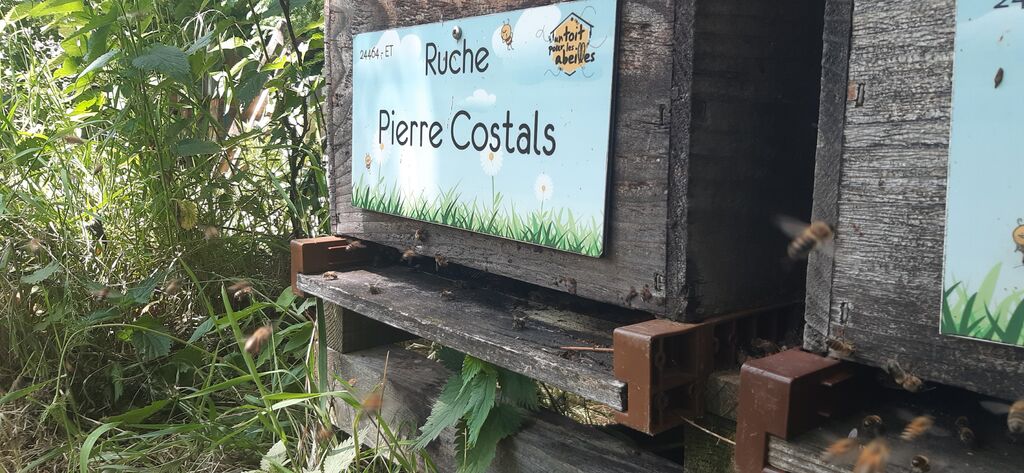 La ruche Pierre Costals