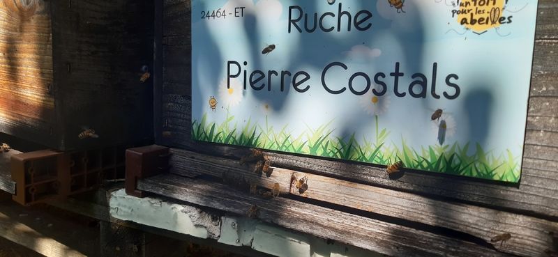 La ruche Pierre Costals