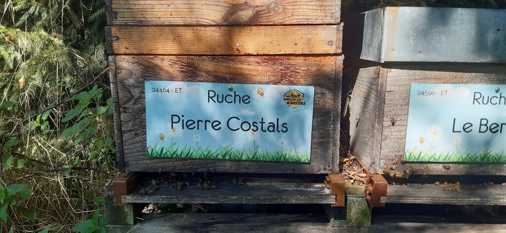 La ruche Pierre Costals