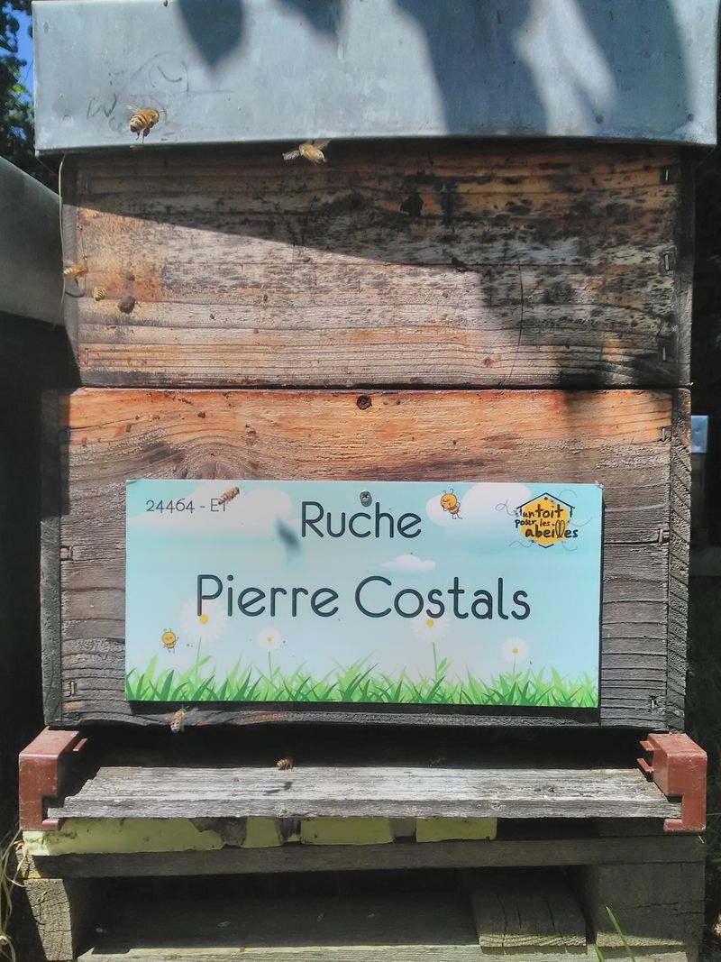 La ruche Pierre Costals