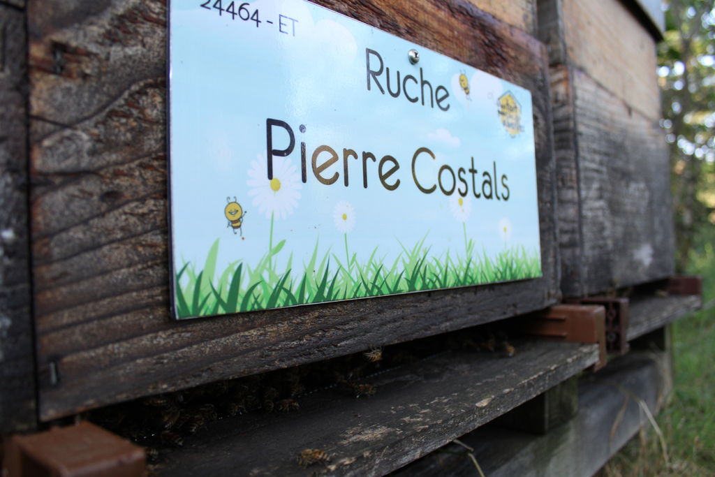 La ruche Pierre Costals