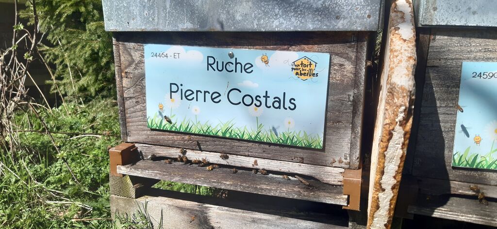 La ruche Pierre Costals