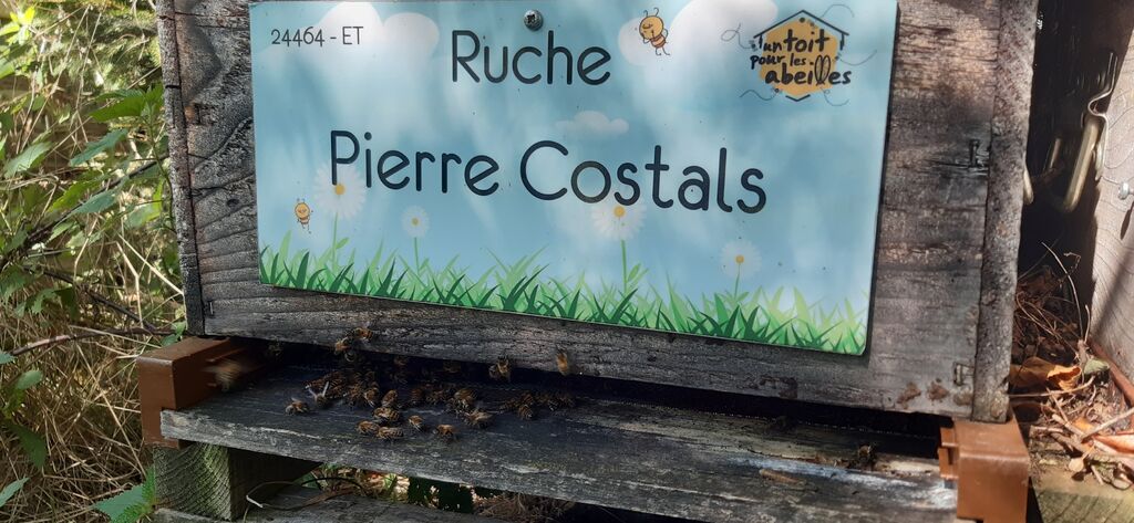 La ruche Pierre Costals