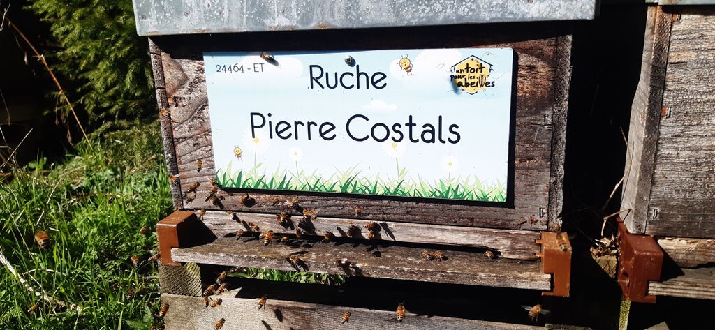 La ruche Pierre Costals