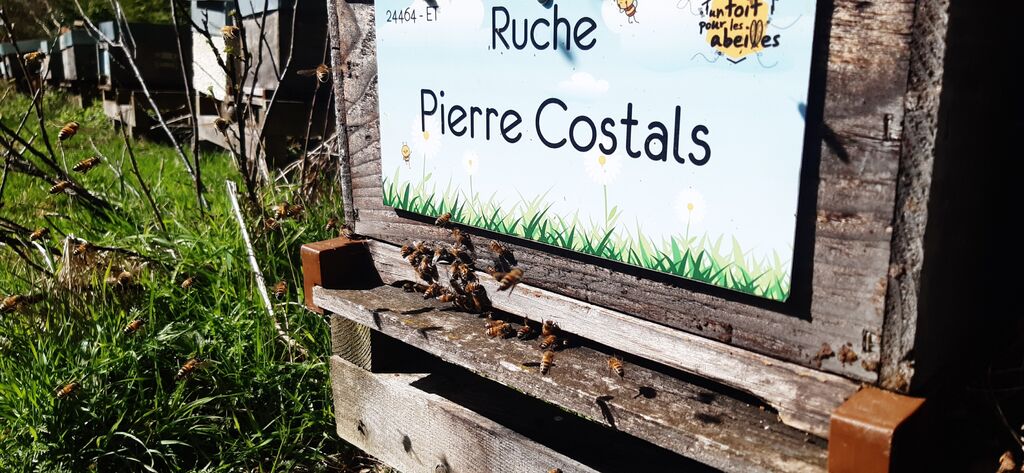 La ruche Pierre Costals