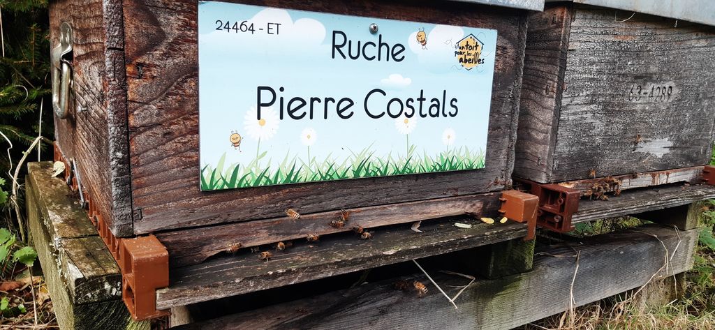 La ruche Pierre Costals
