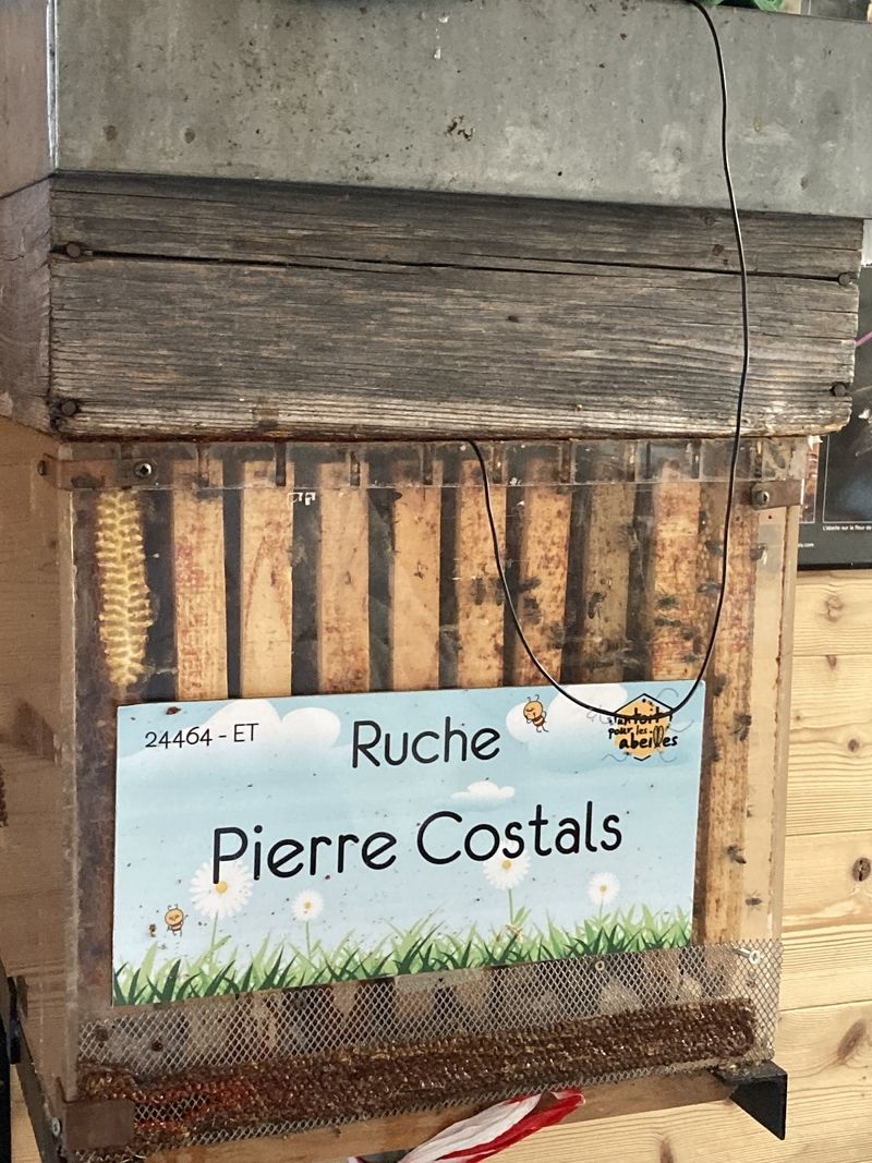 La ruche Pierre Costals