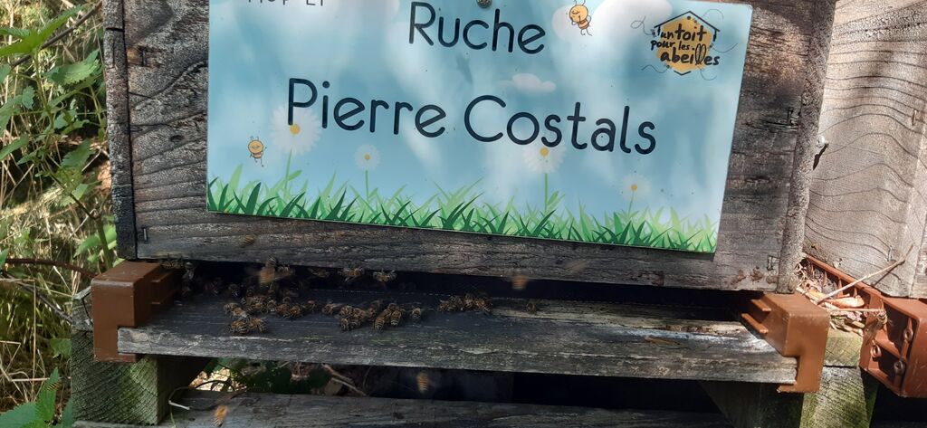 La ruche Pierre Costals