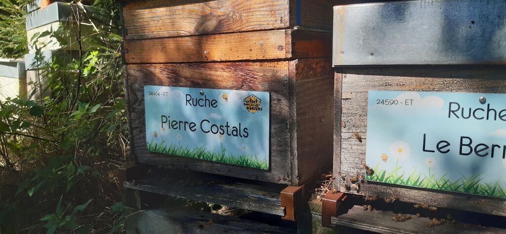 La ruche Pierre Costals