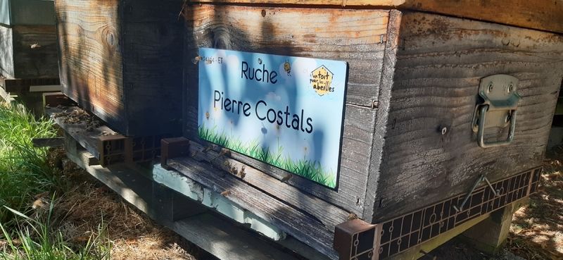 La ruche Pierre Costals