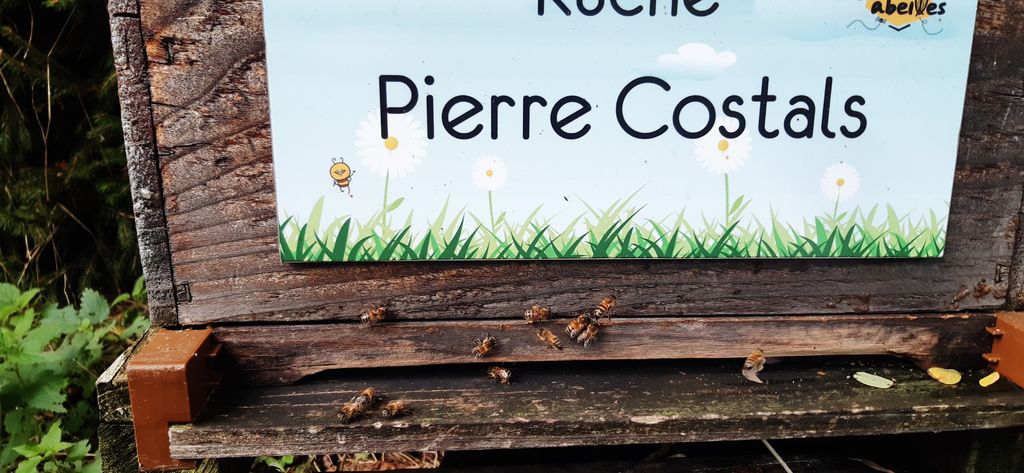 La ruche Pierre Costals