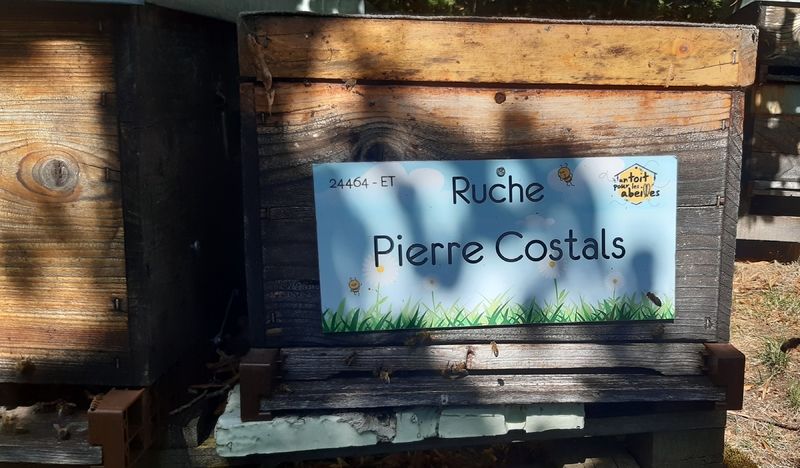 La ruche Pierre Costals