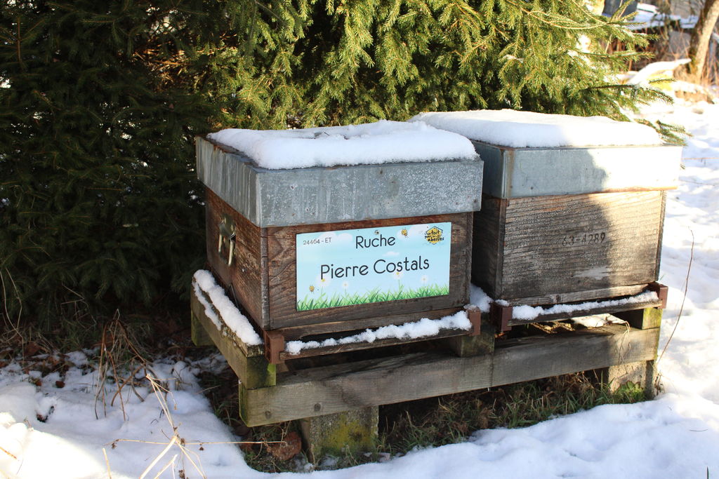 La ruche Pierre Costals