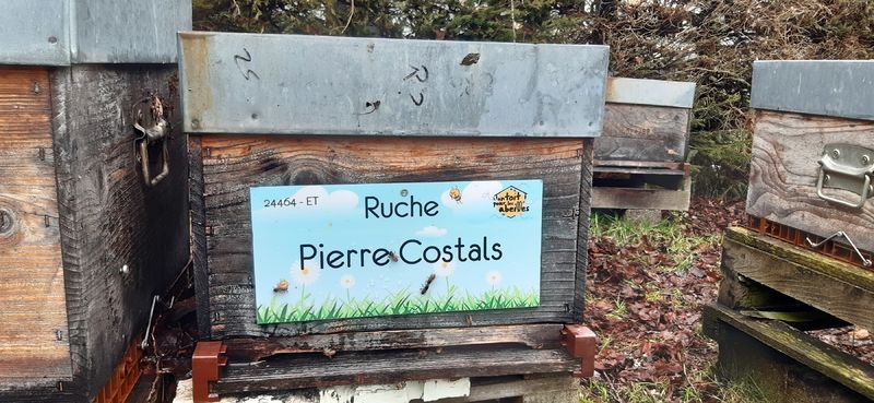 La ruche Pierre Costals