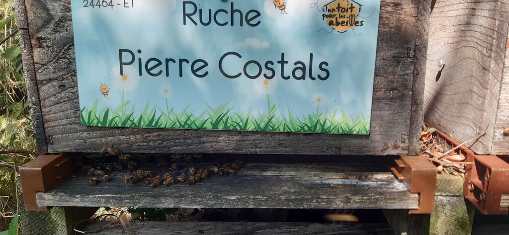 La ruche Pierre Costals
