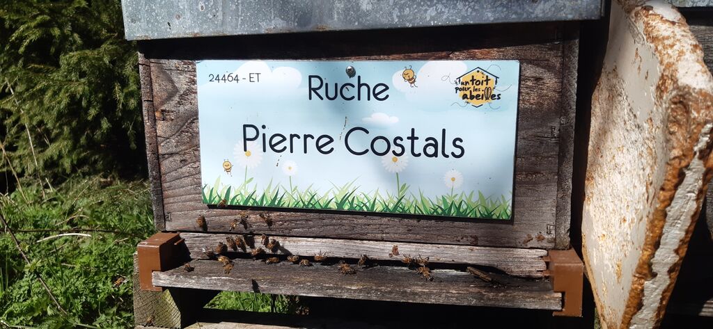 La ruche Pierre Costals