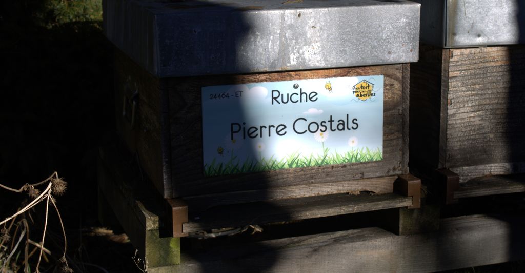 La ruche Pierre Costals