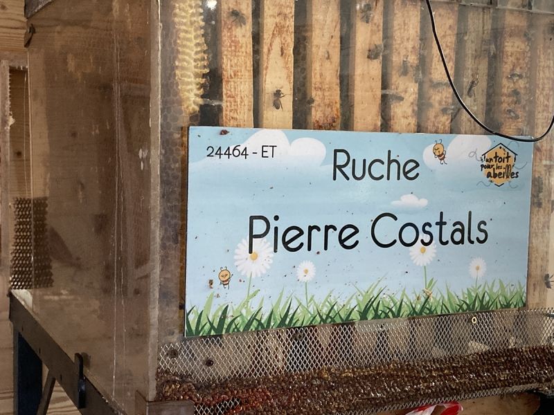 La ruche Pierre Costals