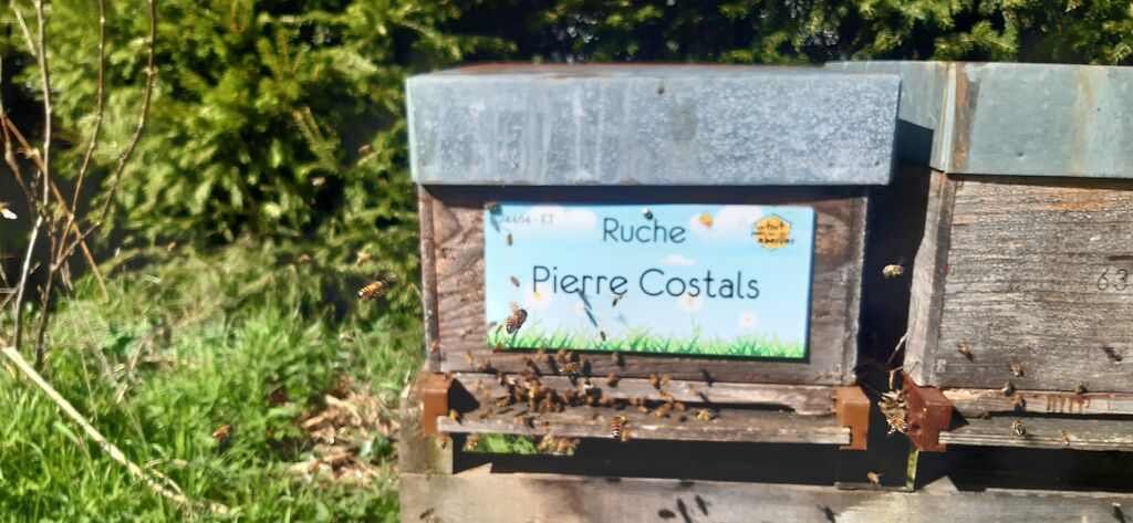 La ruche Pierre Costals
