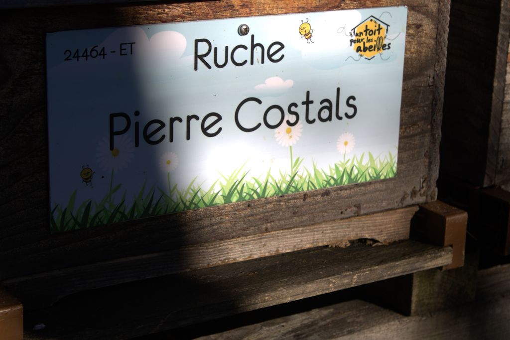 La ruche Pierre Costals